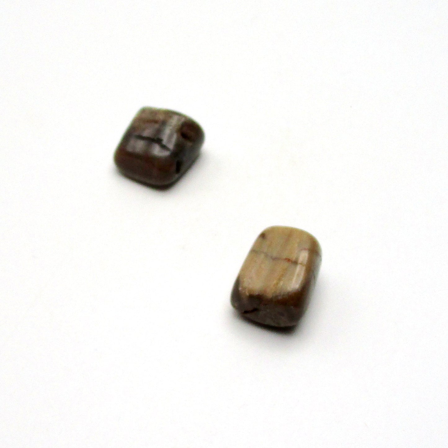 Petrified Wood