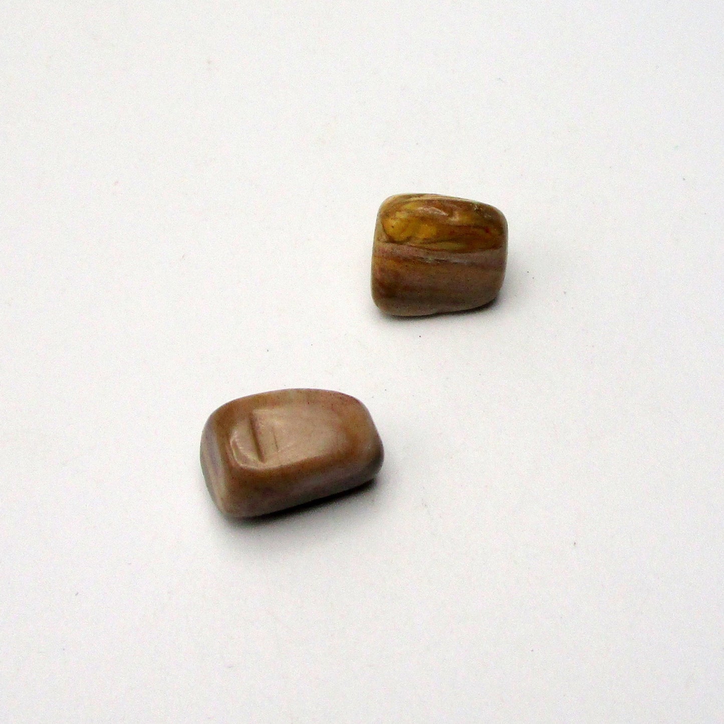 Petrified Wood