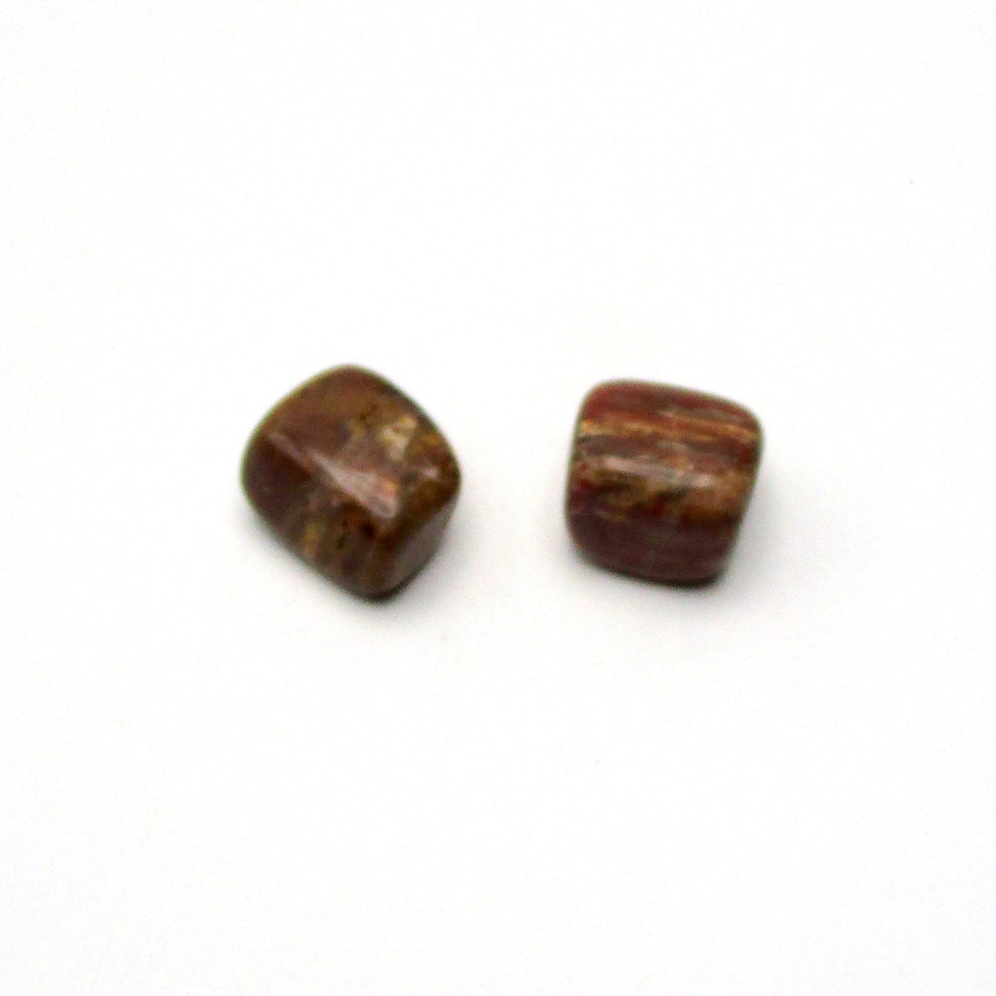 Petrified Wood