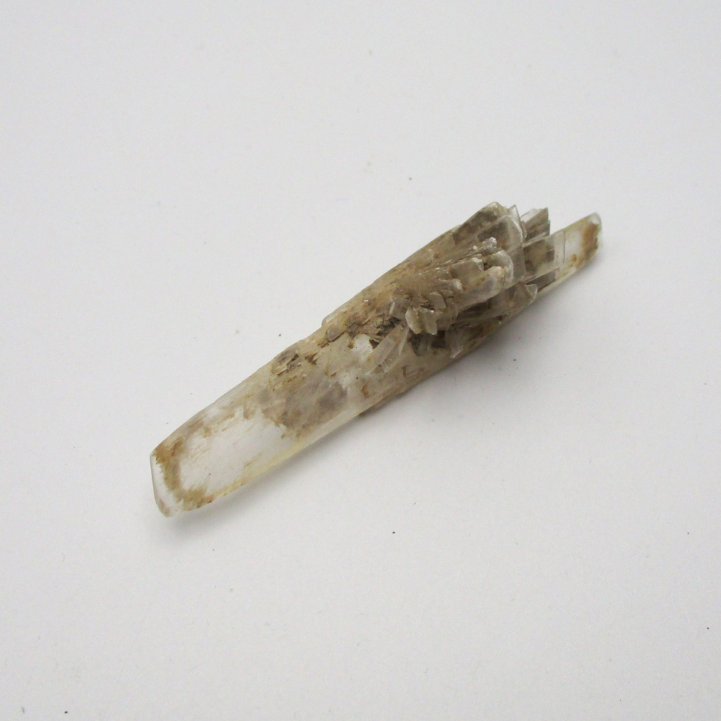 French Selenite – Large Flat Piece (2.5" x 1" x 0.5")