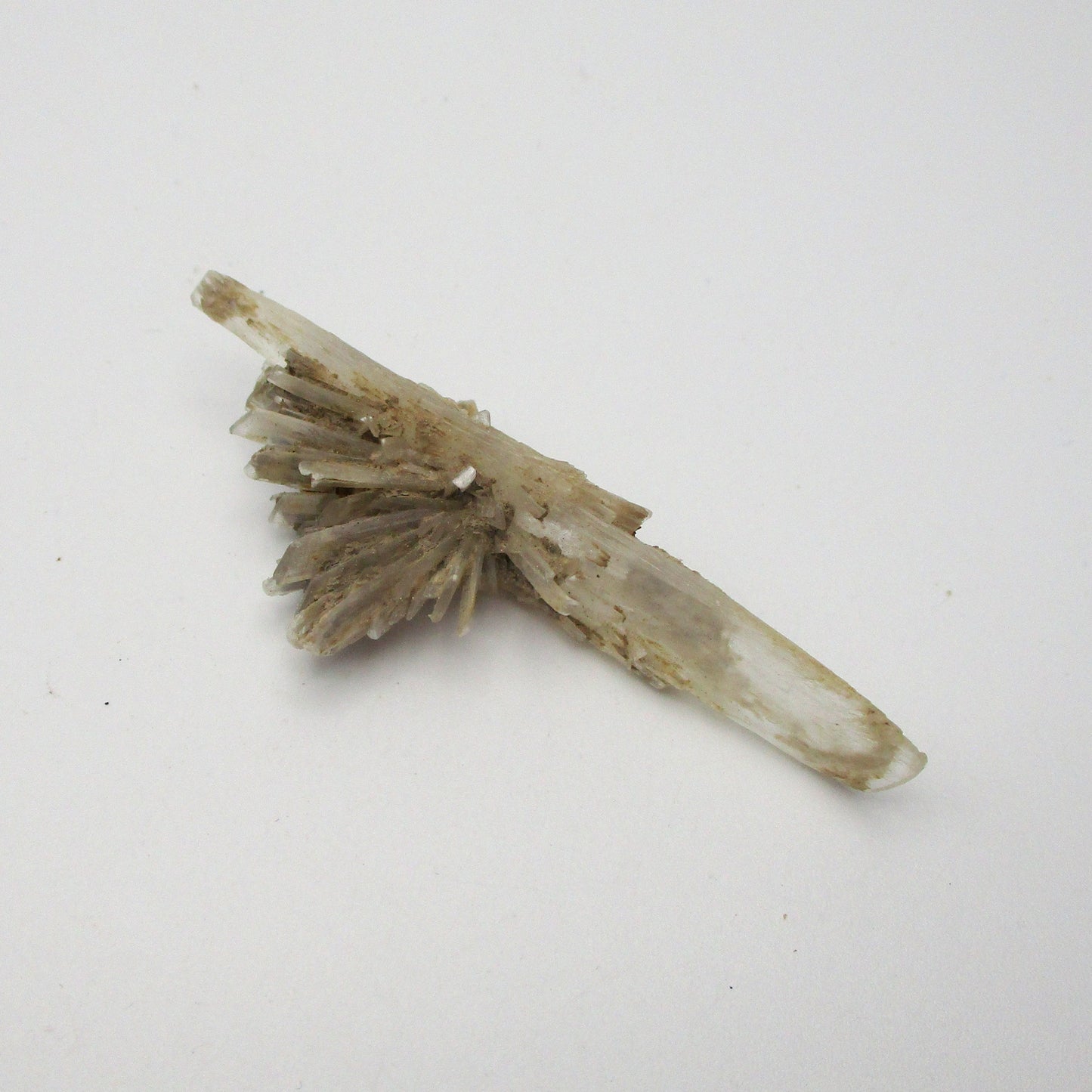 French Selenite – Large Flat Piece (2.5" x 1" x 0.5")