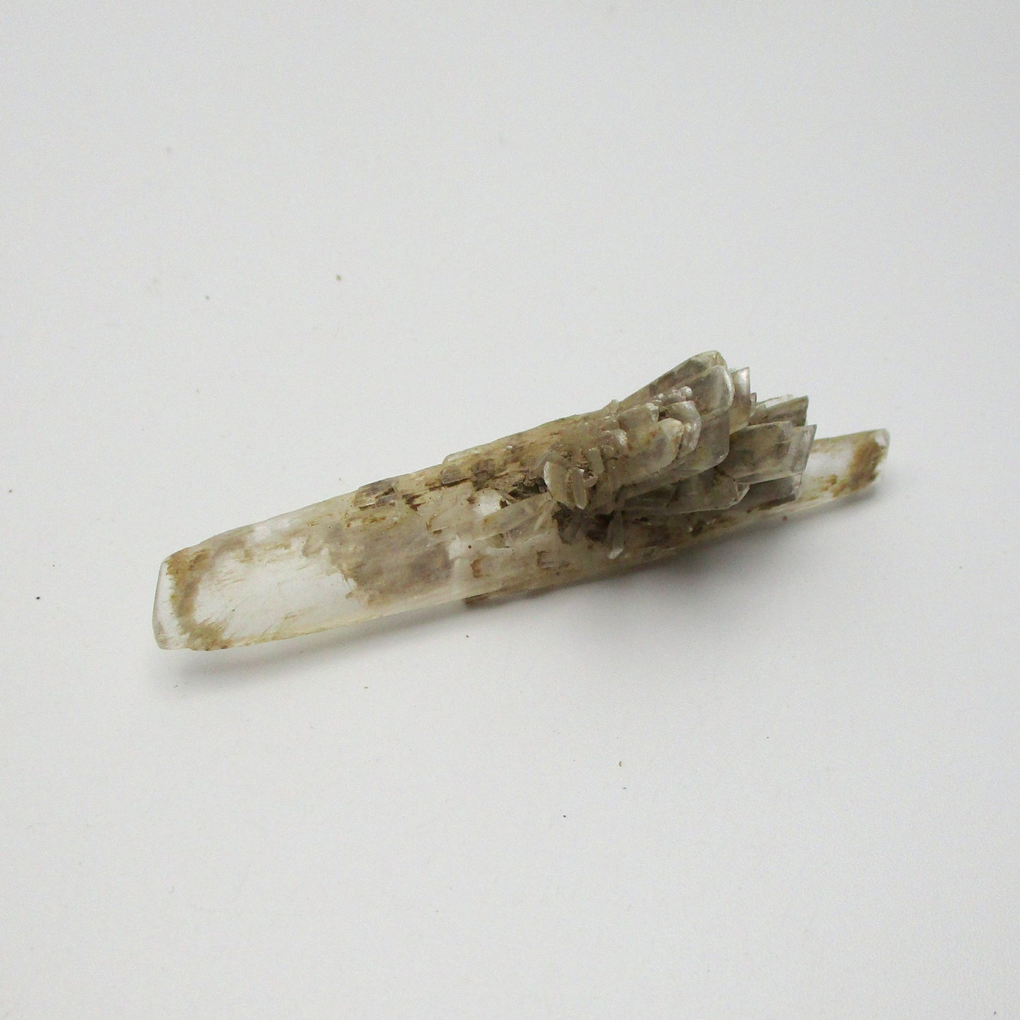 French Selenite – Large Flat Piece (2.5" x 1" x 0.5")