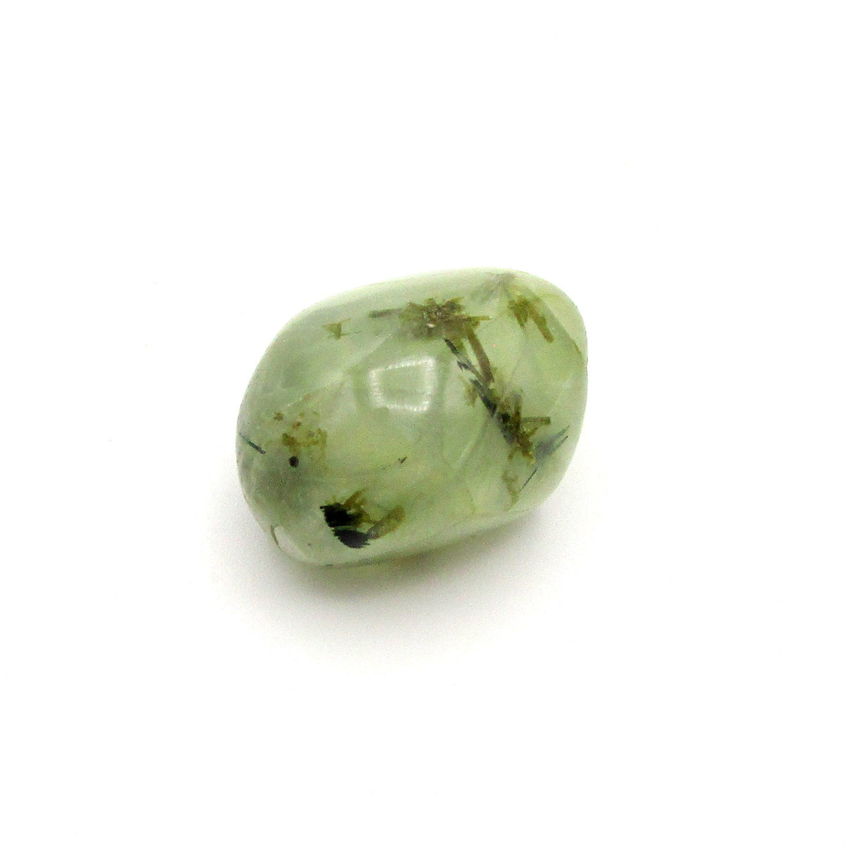 Amphibole Tumbled Stone – Actinolite, Epidote & Clinochlore | Medium (~0.75")