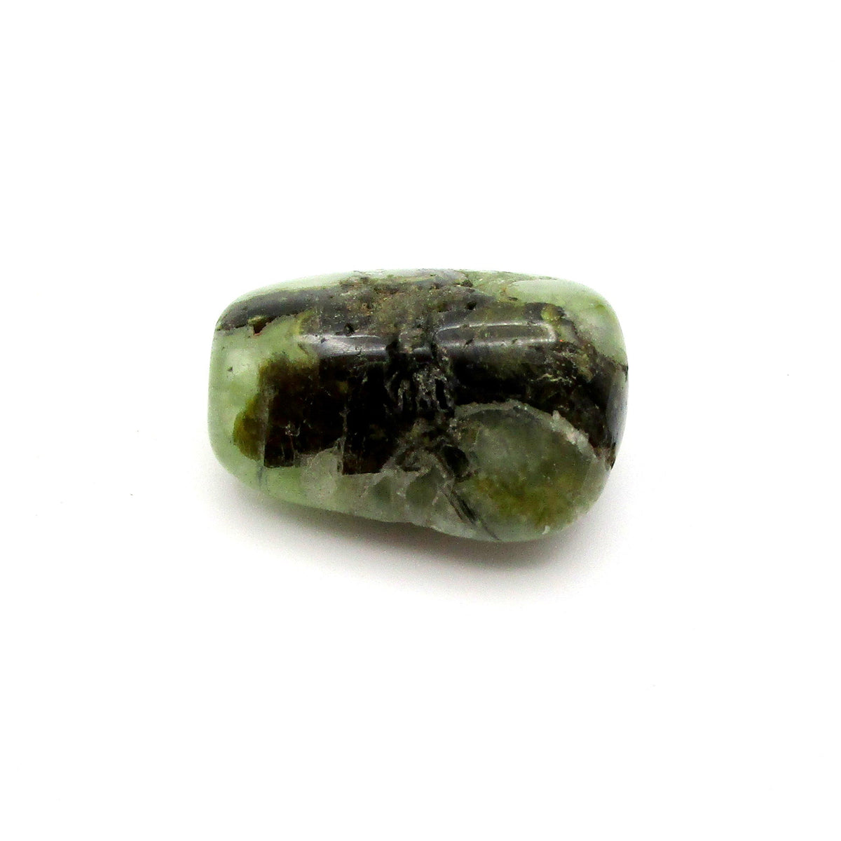 Amphibole Tumbled Stone – Actinolite, Epidote & Clinochlore | Large (~1")