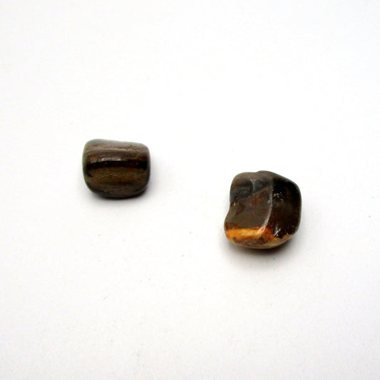 Petrified Wood