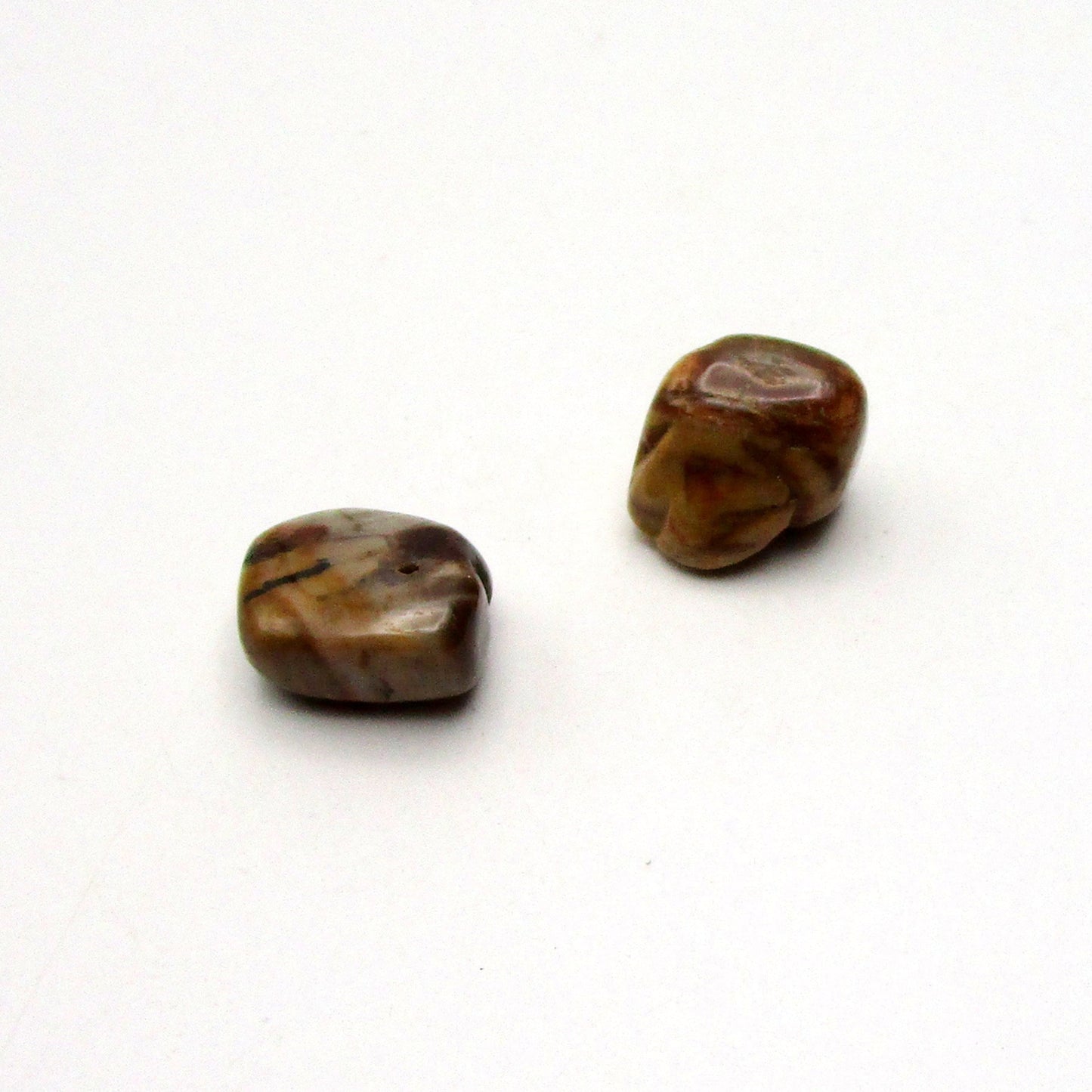 Petrified Wood