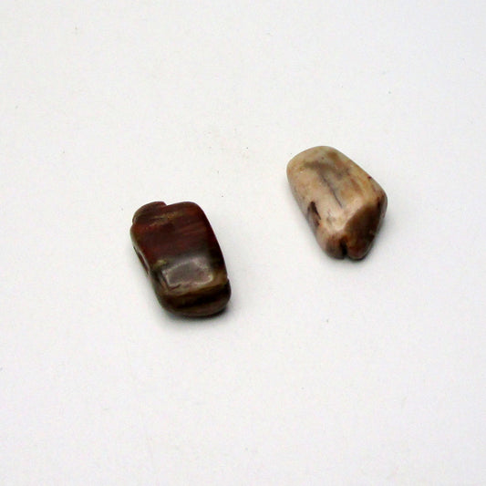 Petrified Wood