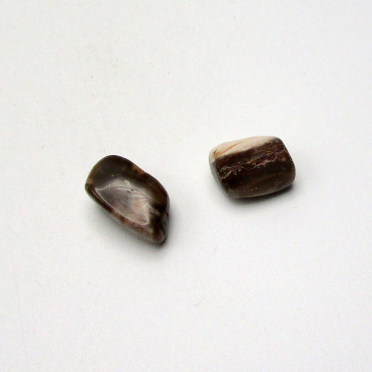 Petrified Wood
