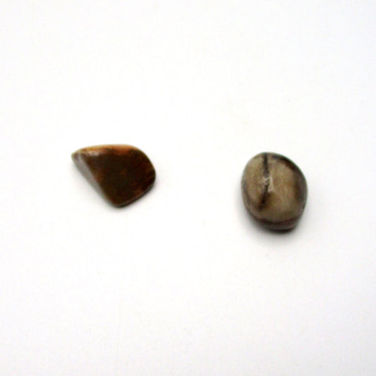 Petrified Wood