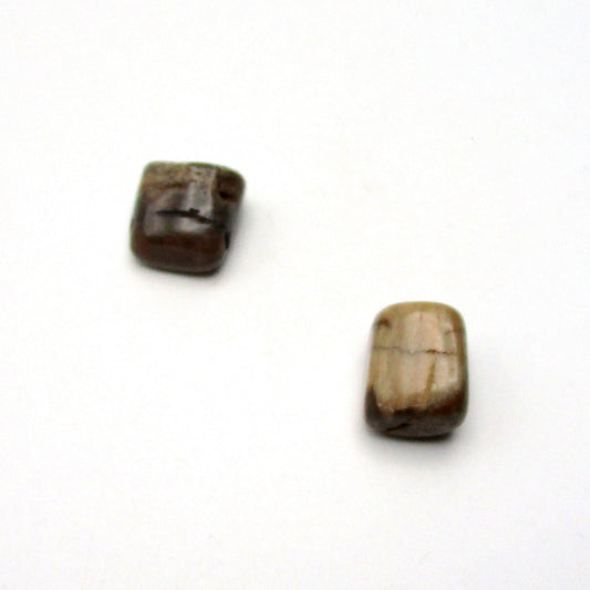 Petrified Wood