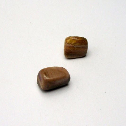 Petrified Wood