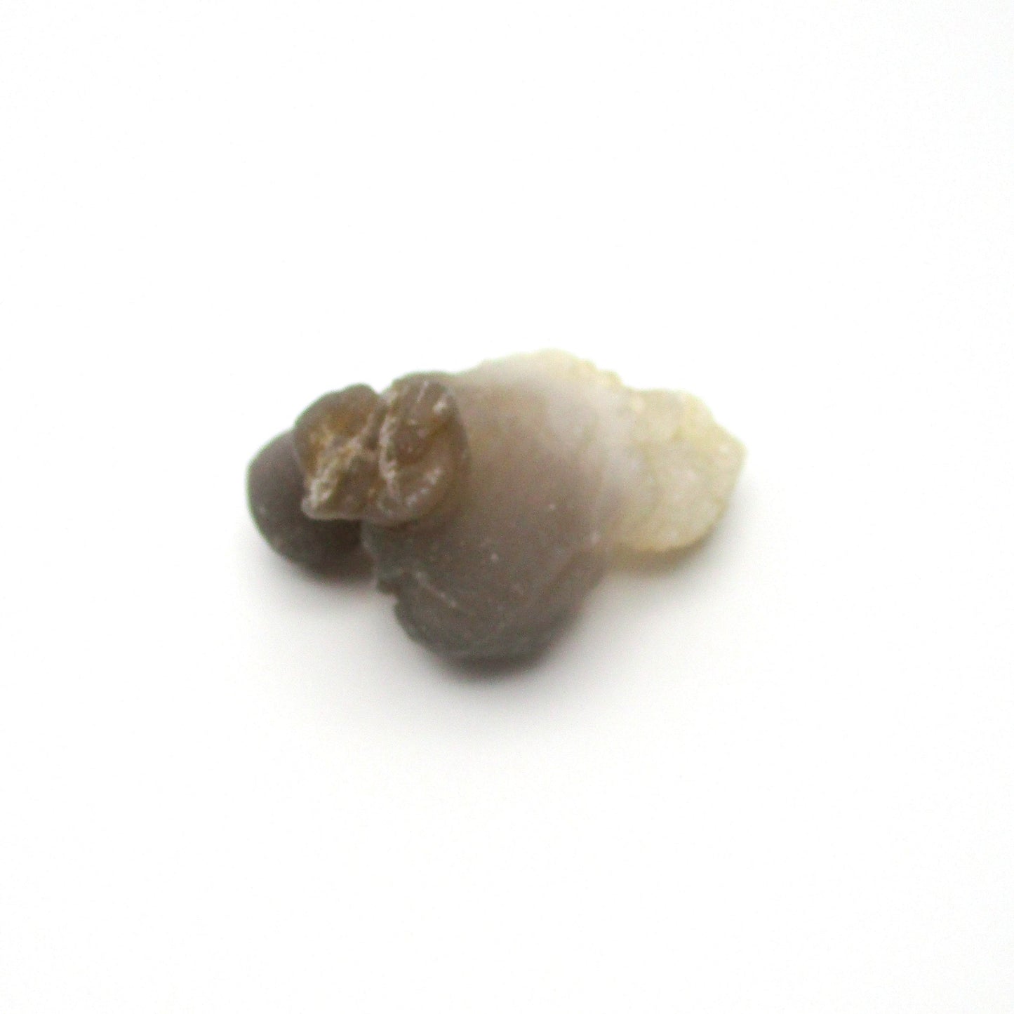 Botryoidal Chalcedony