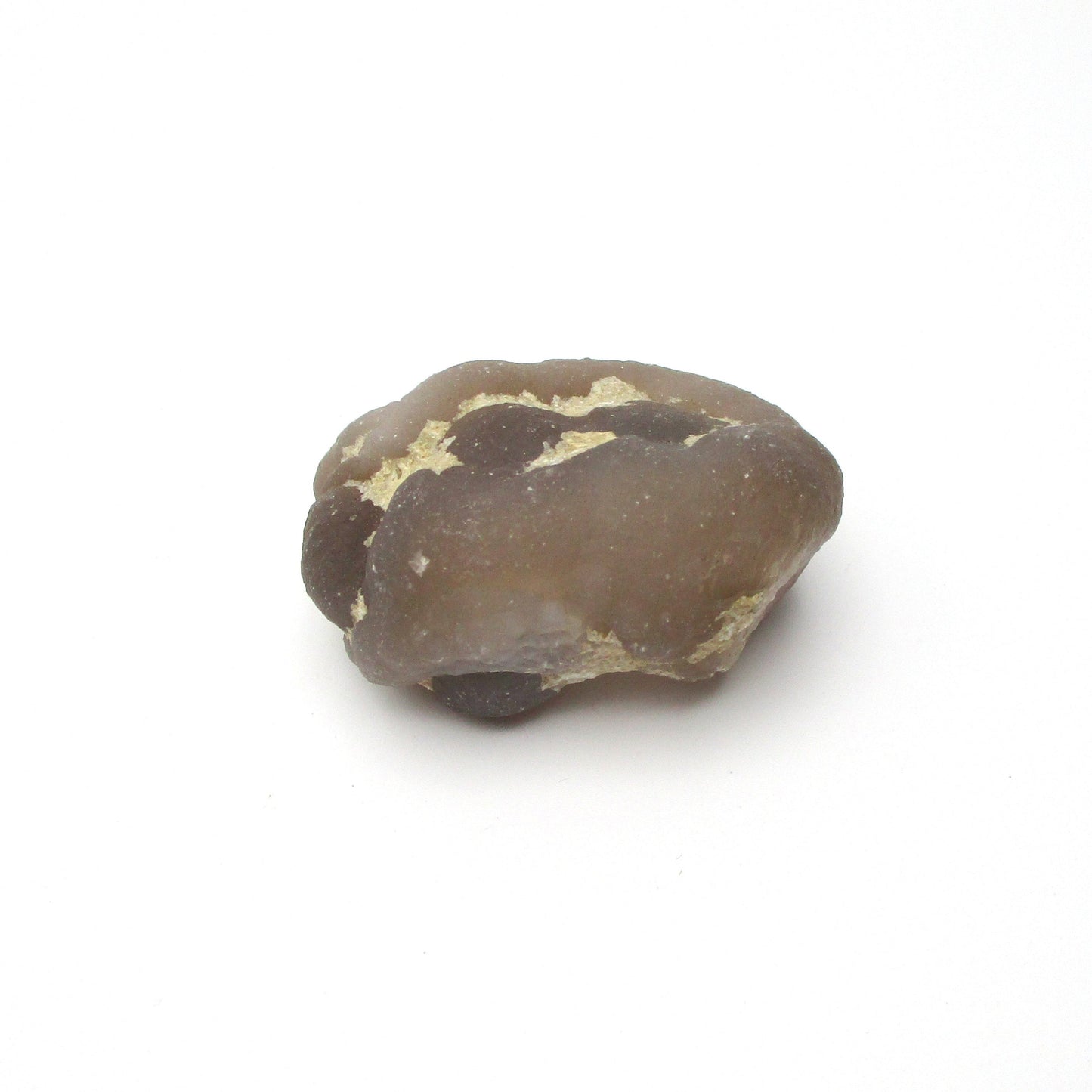 Botryoidal Chalcedony