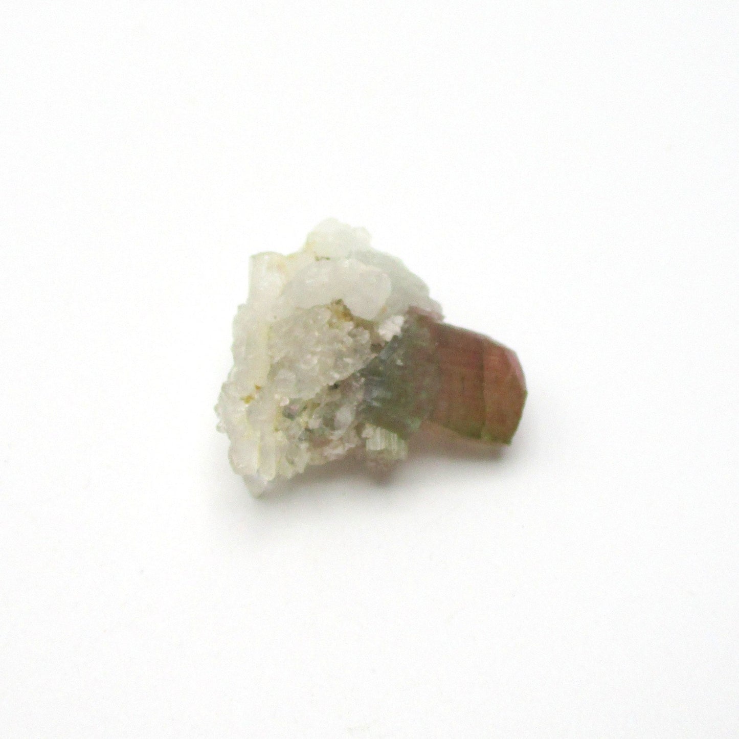 Bi-Color Tourmaline