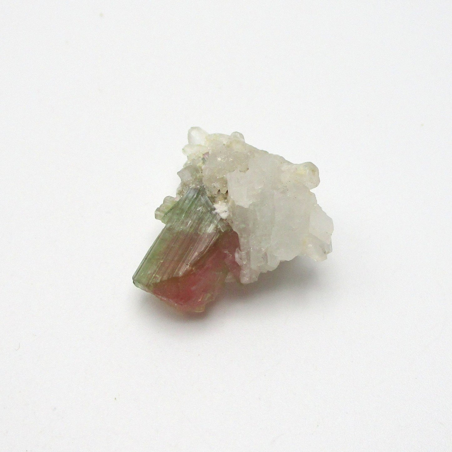 Bi-Color Tourmaline