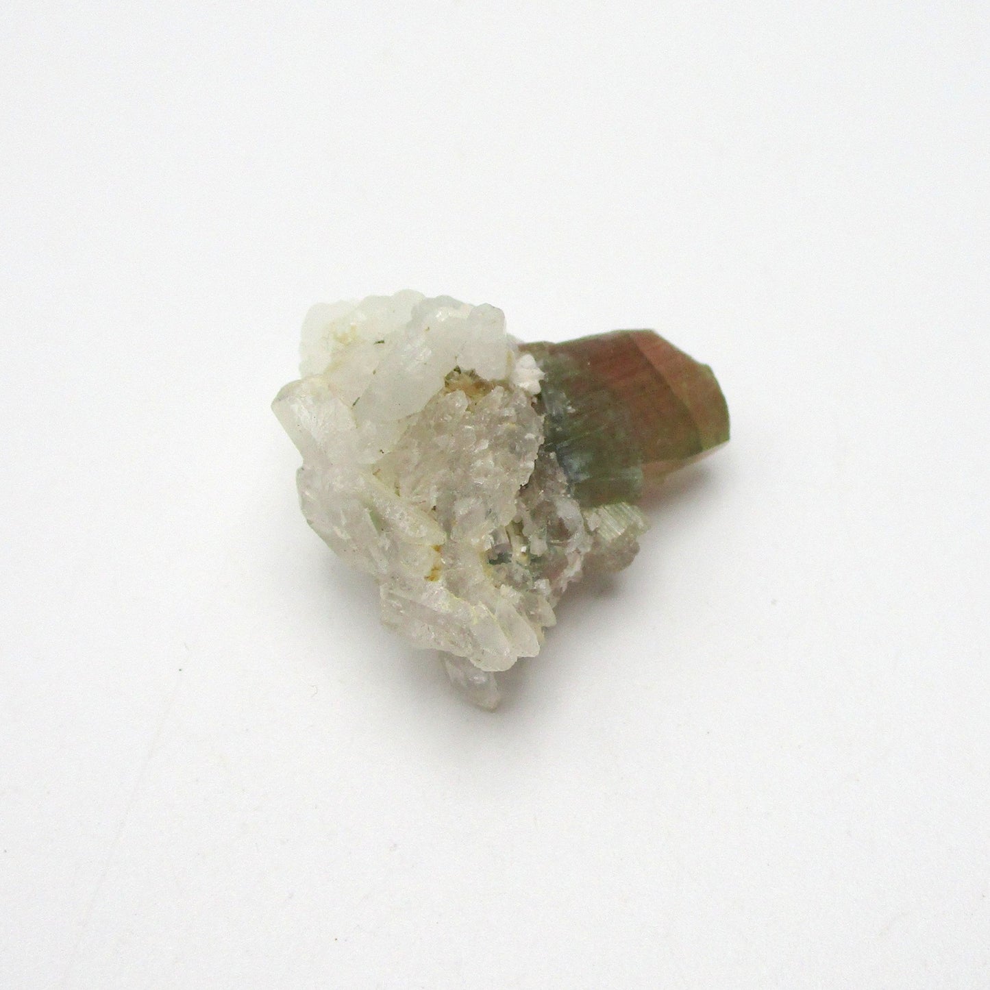 Bi-Color Tourmaline