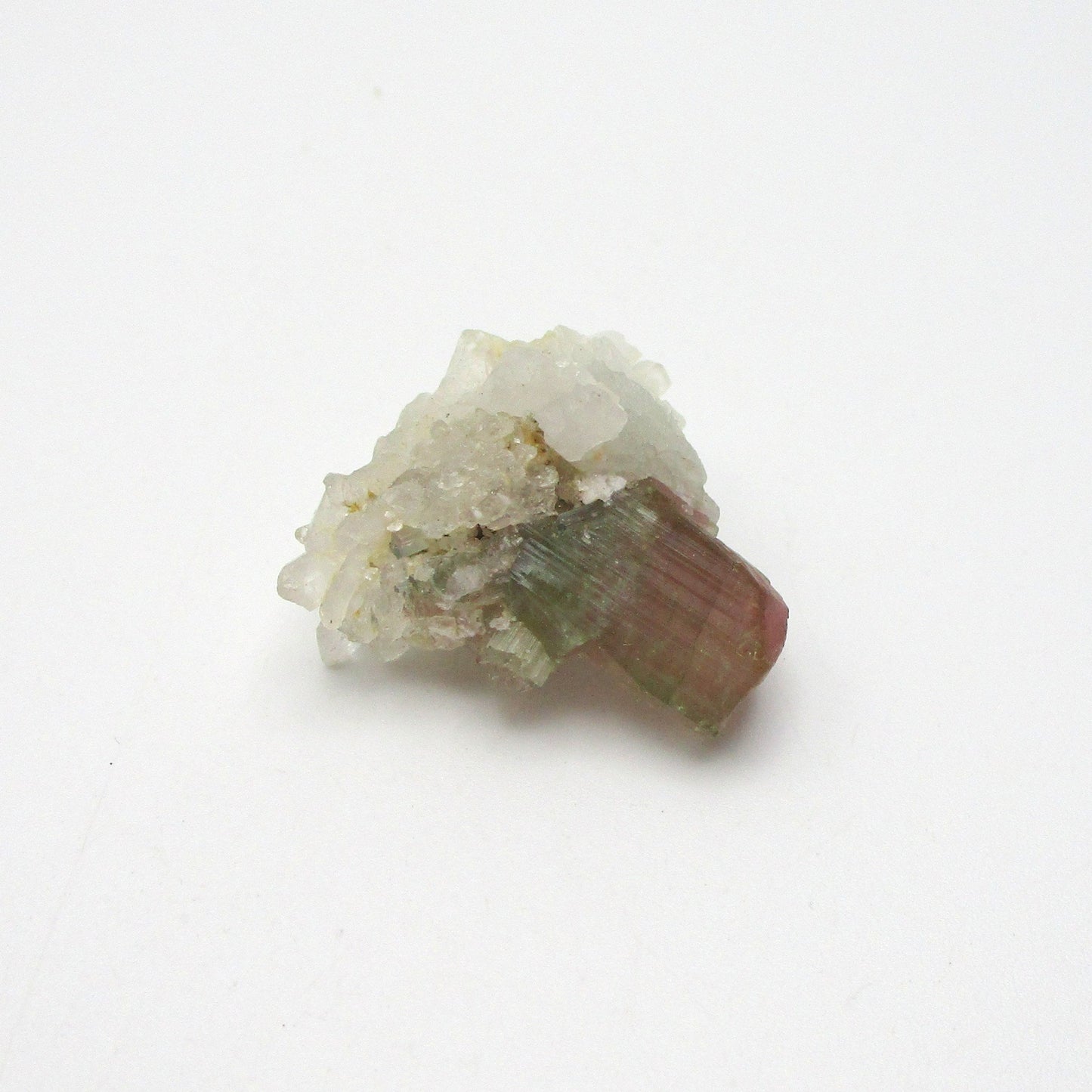 Bi-Color Tourmaline