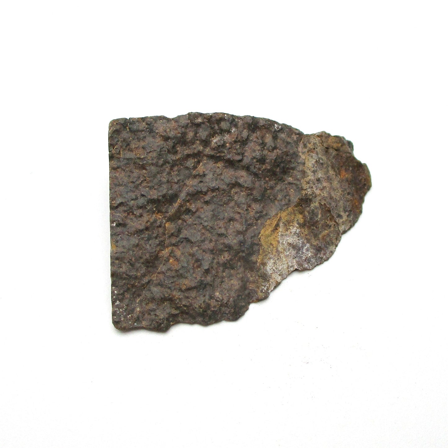 Meteorite