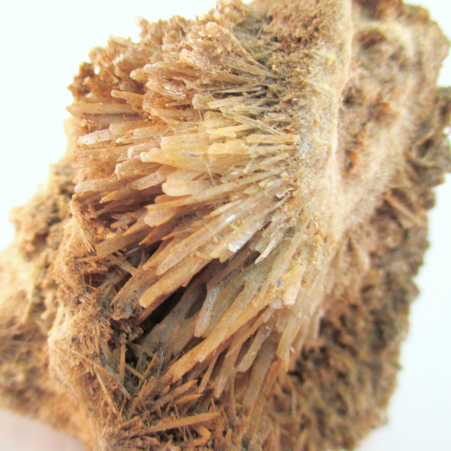 Pennsylvania Selenite