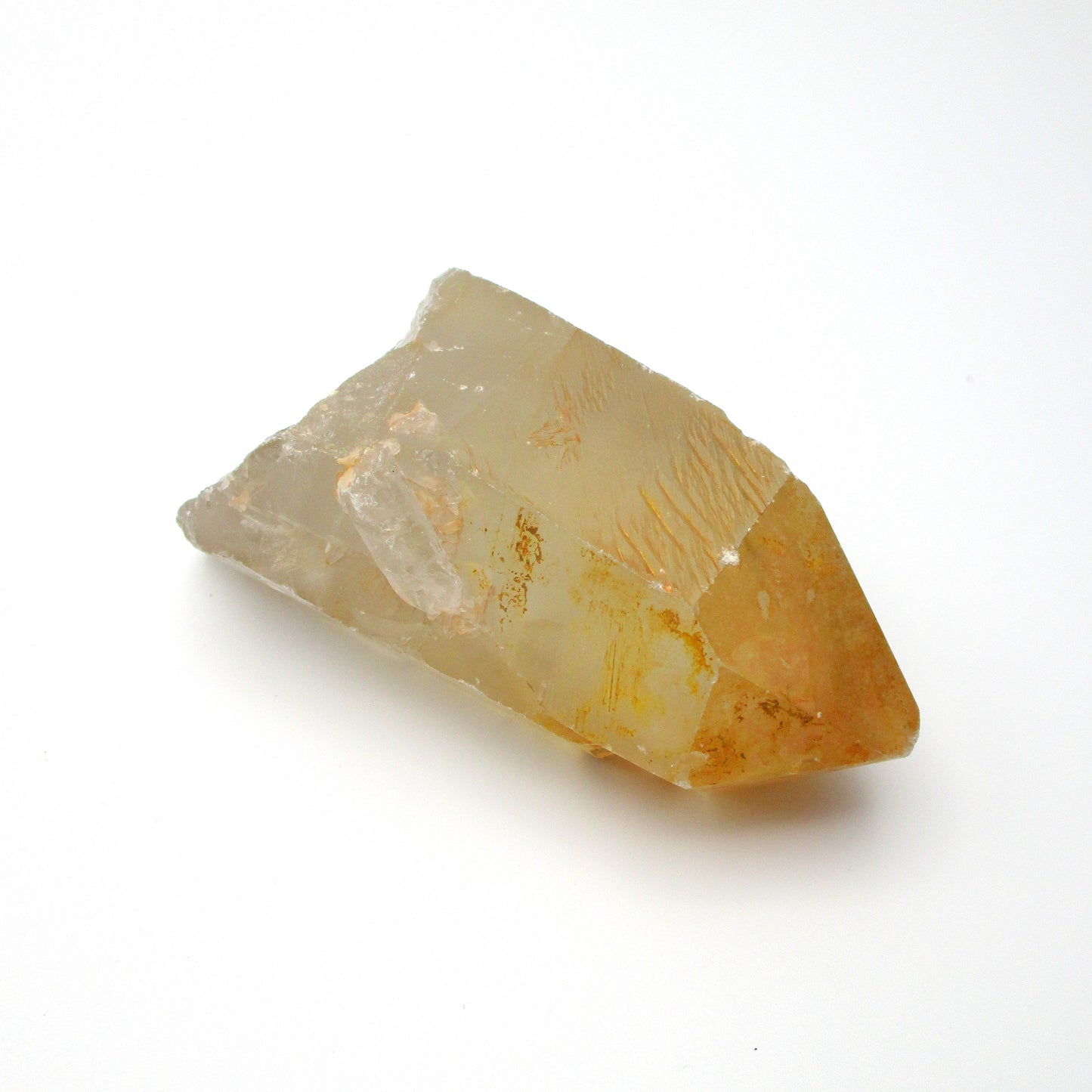 Brazilian Pink Lemurian