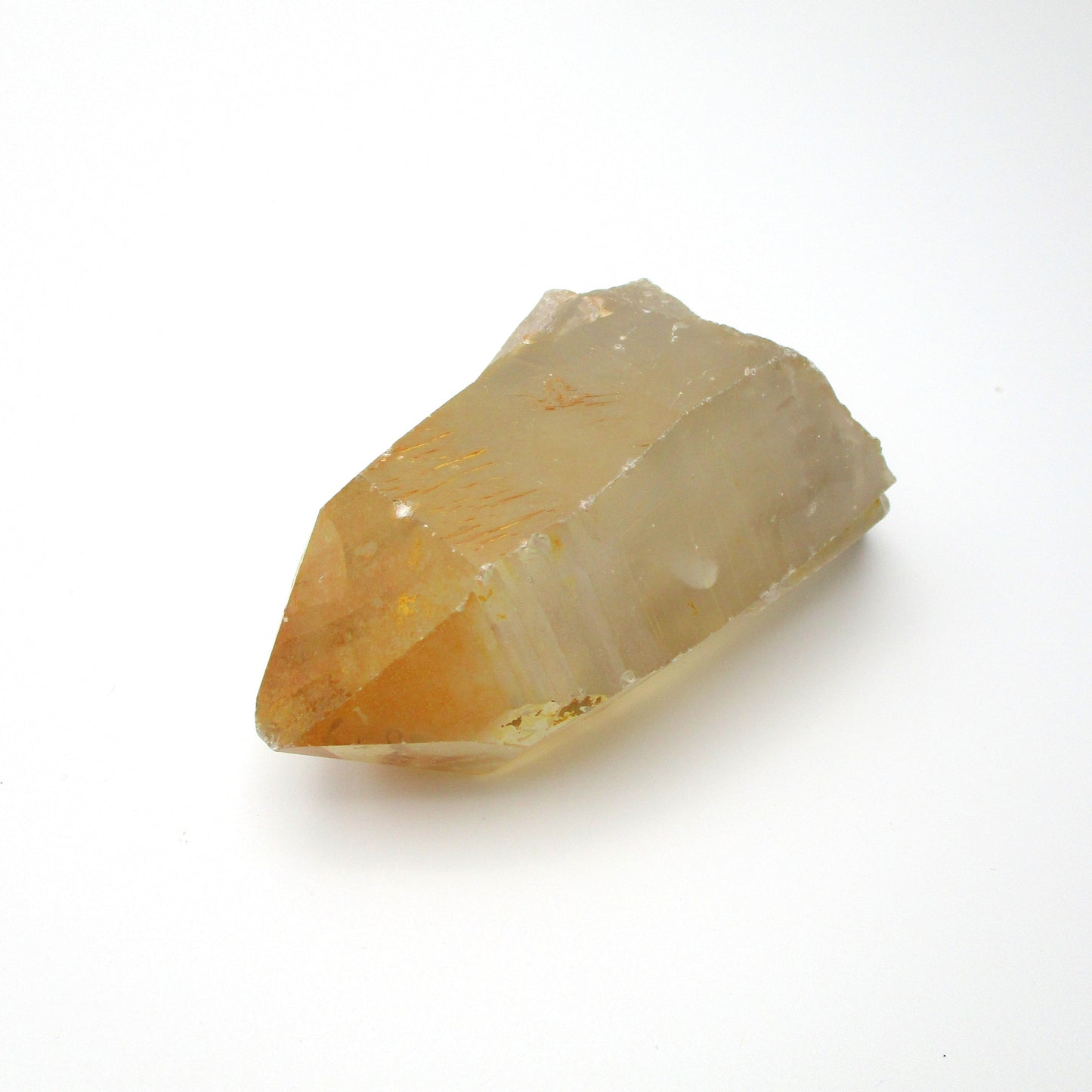 Brazilian Pink Lemurian
