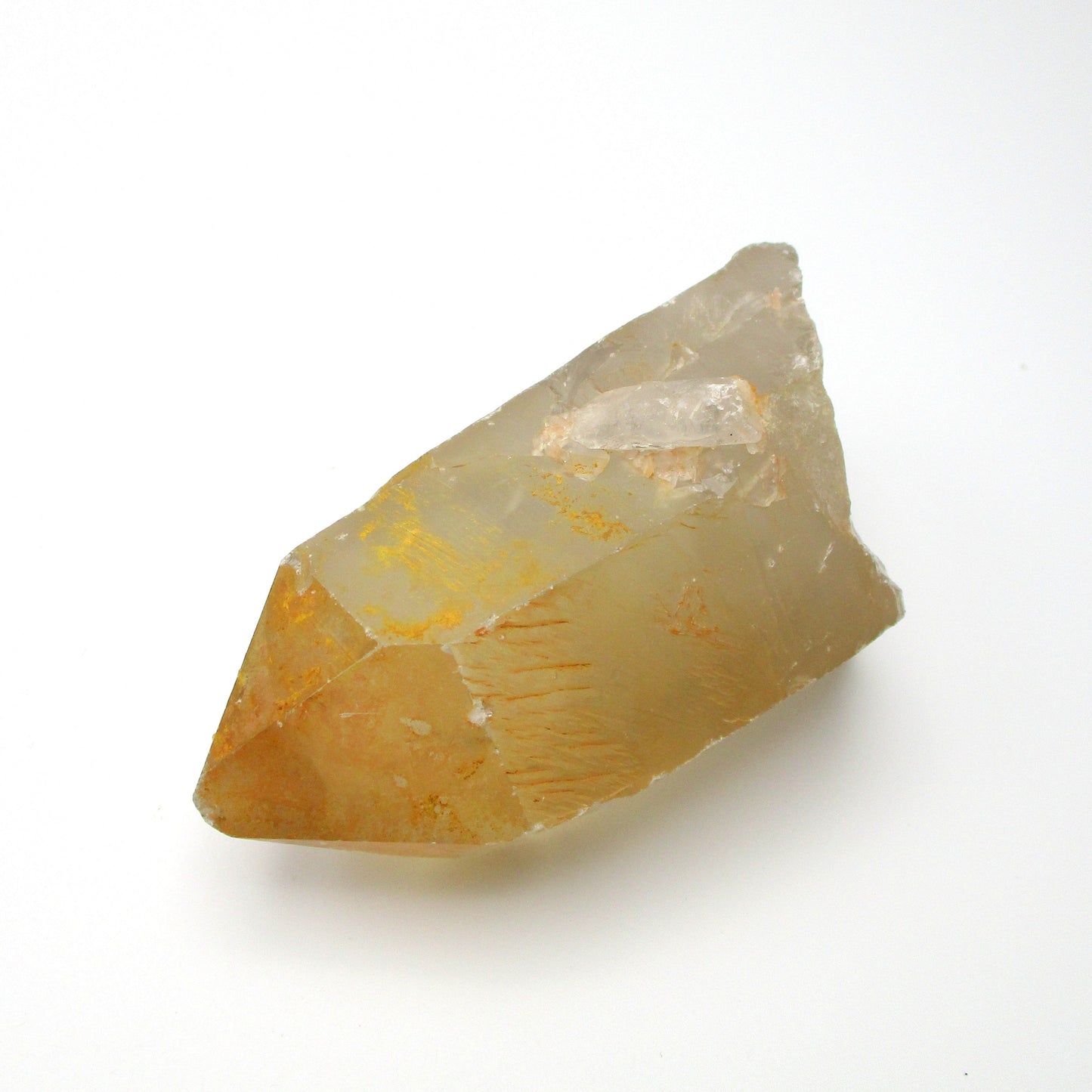 Brazilian Pink Lemurian