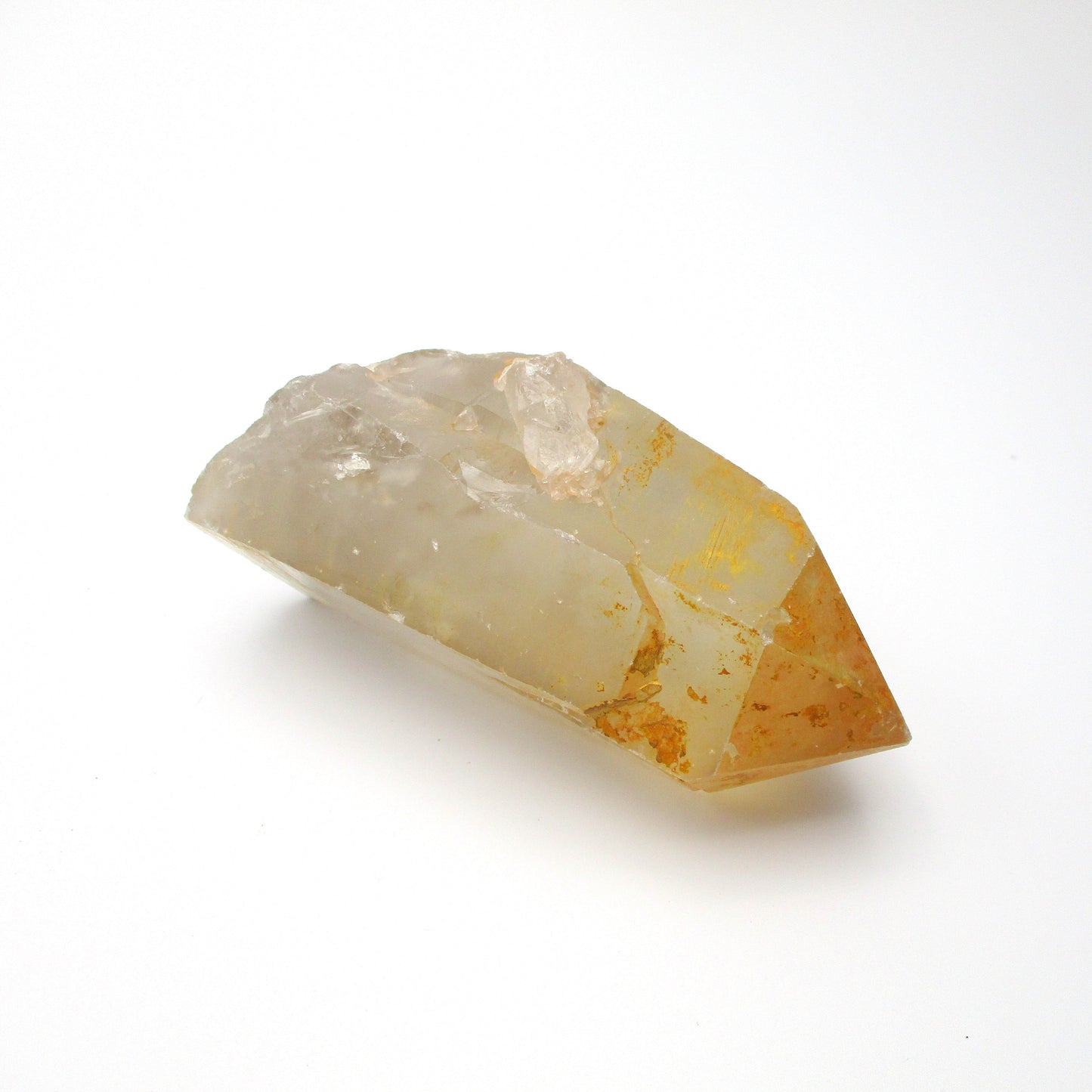 Brazilian Pink Lemurian