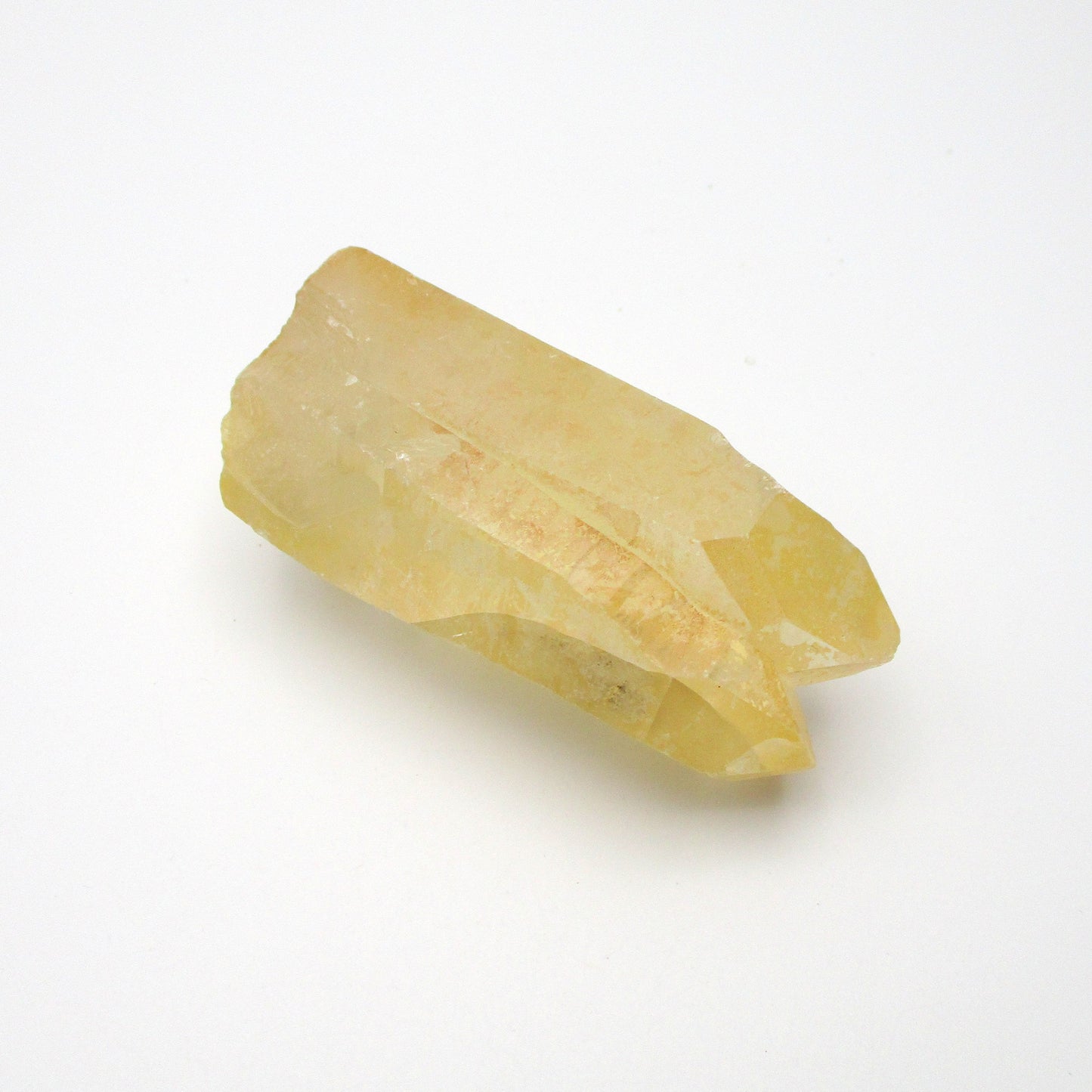 Brazilian Pink Lemurian