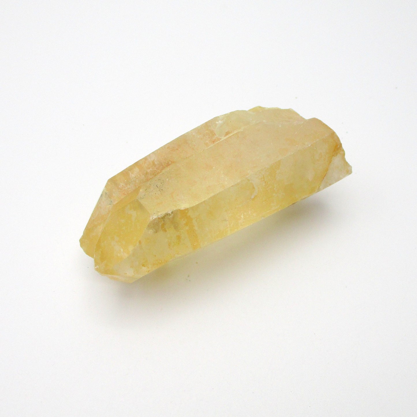 Brazilian Pink Lemurian