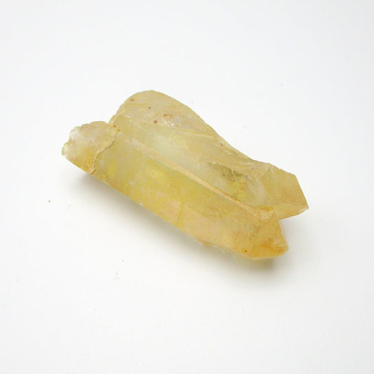 Brazilian Pink Lemurian