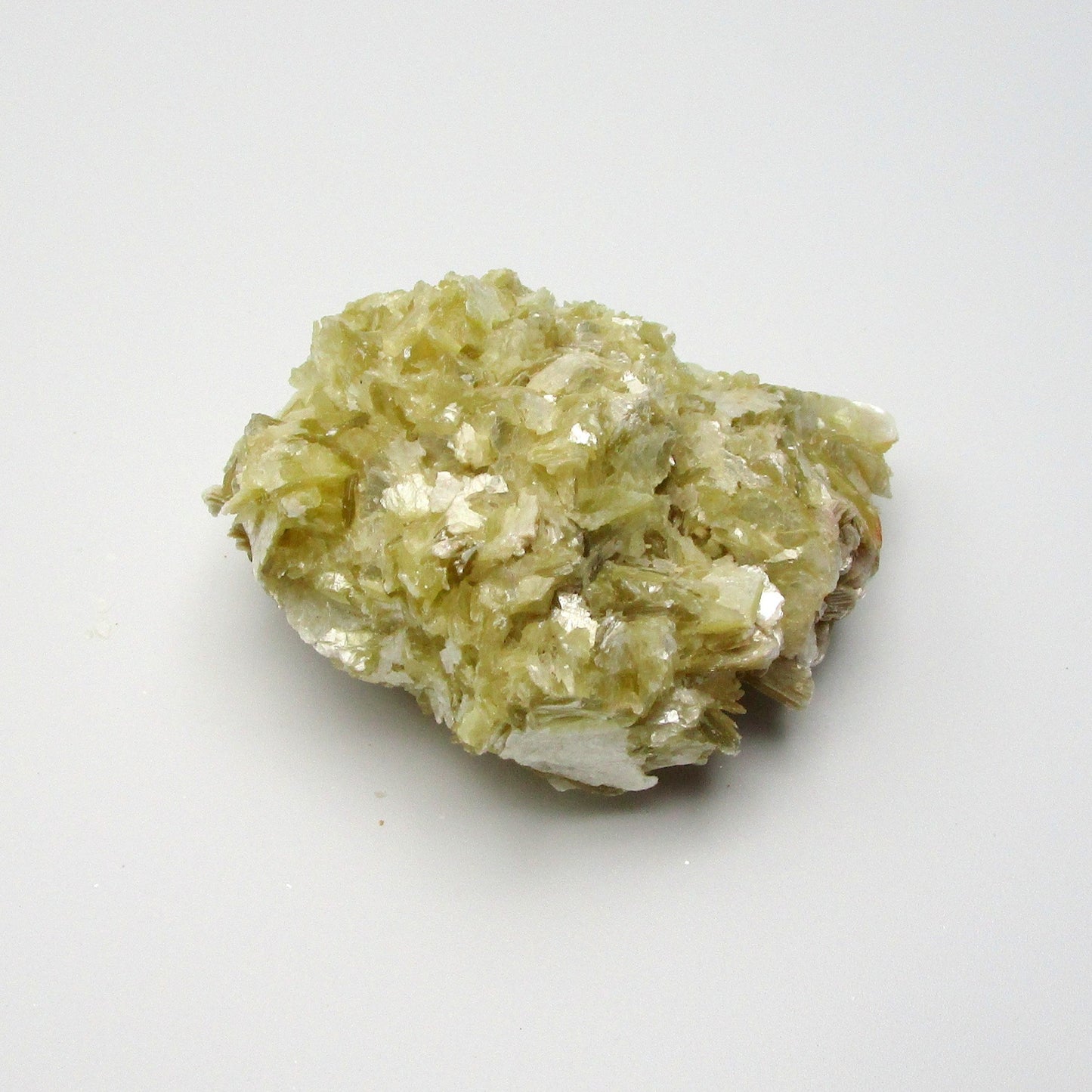 Golden Star Lepidolite