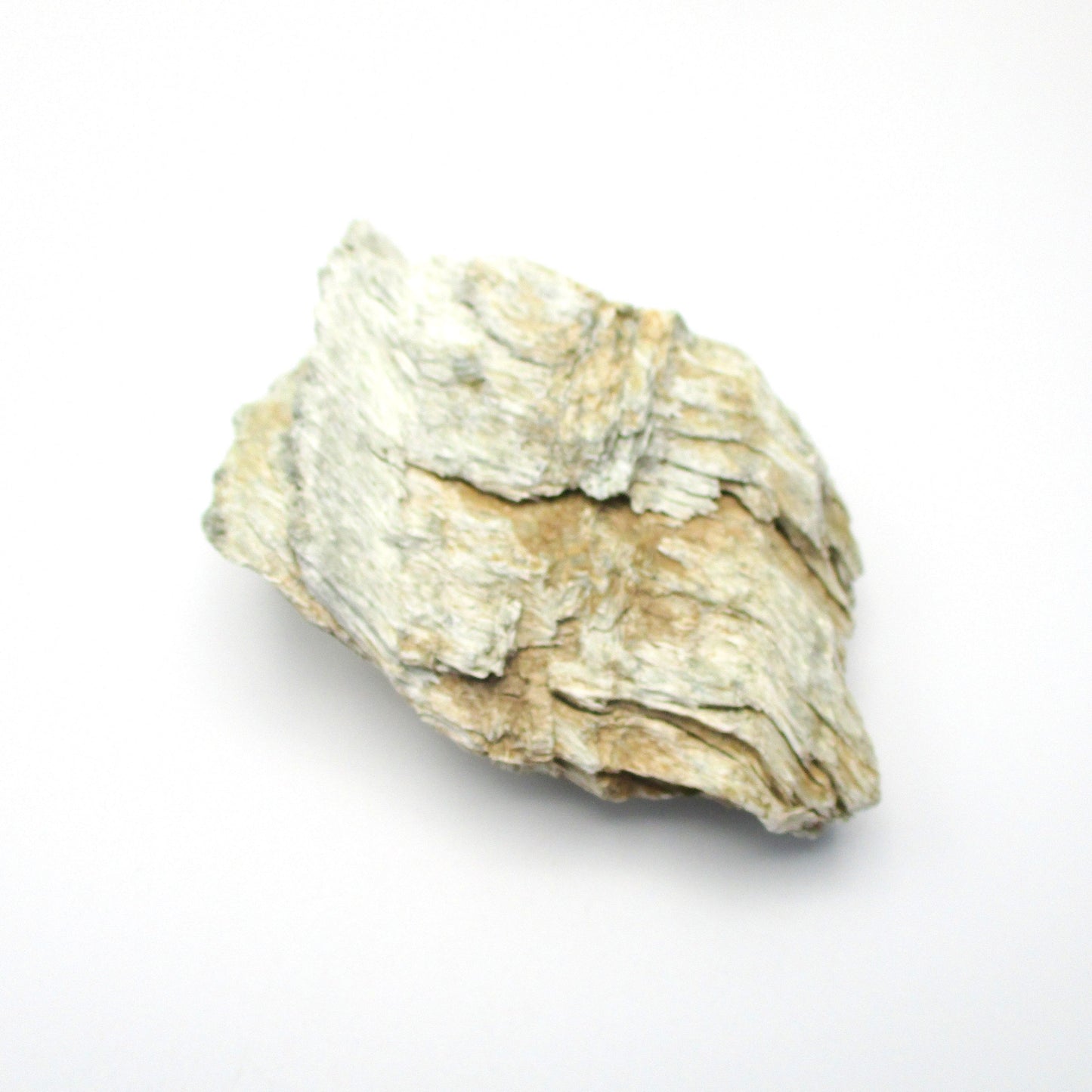 Actinolite