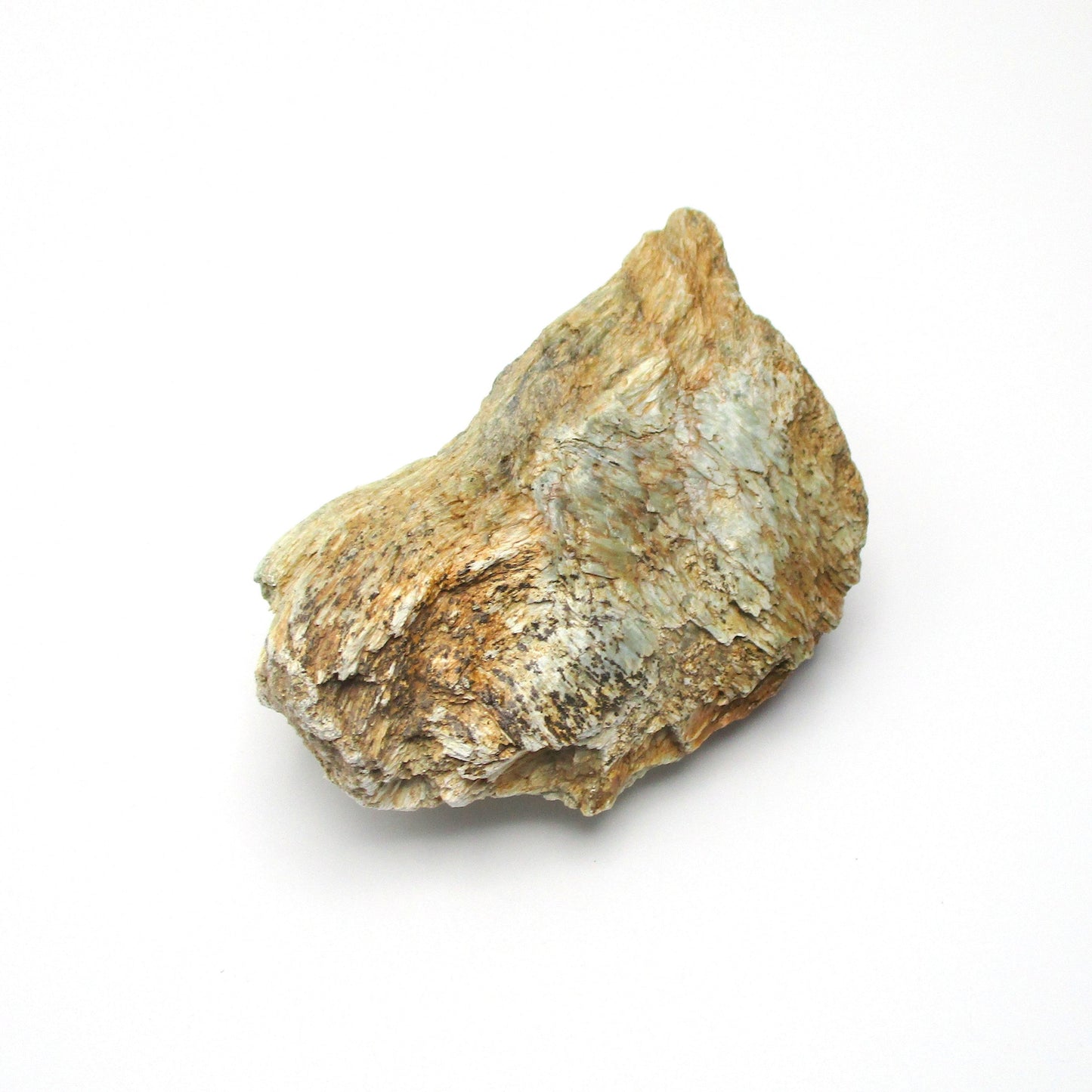 Actinolite