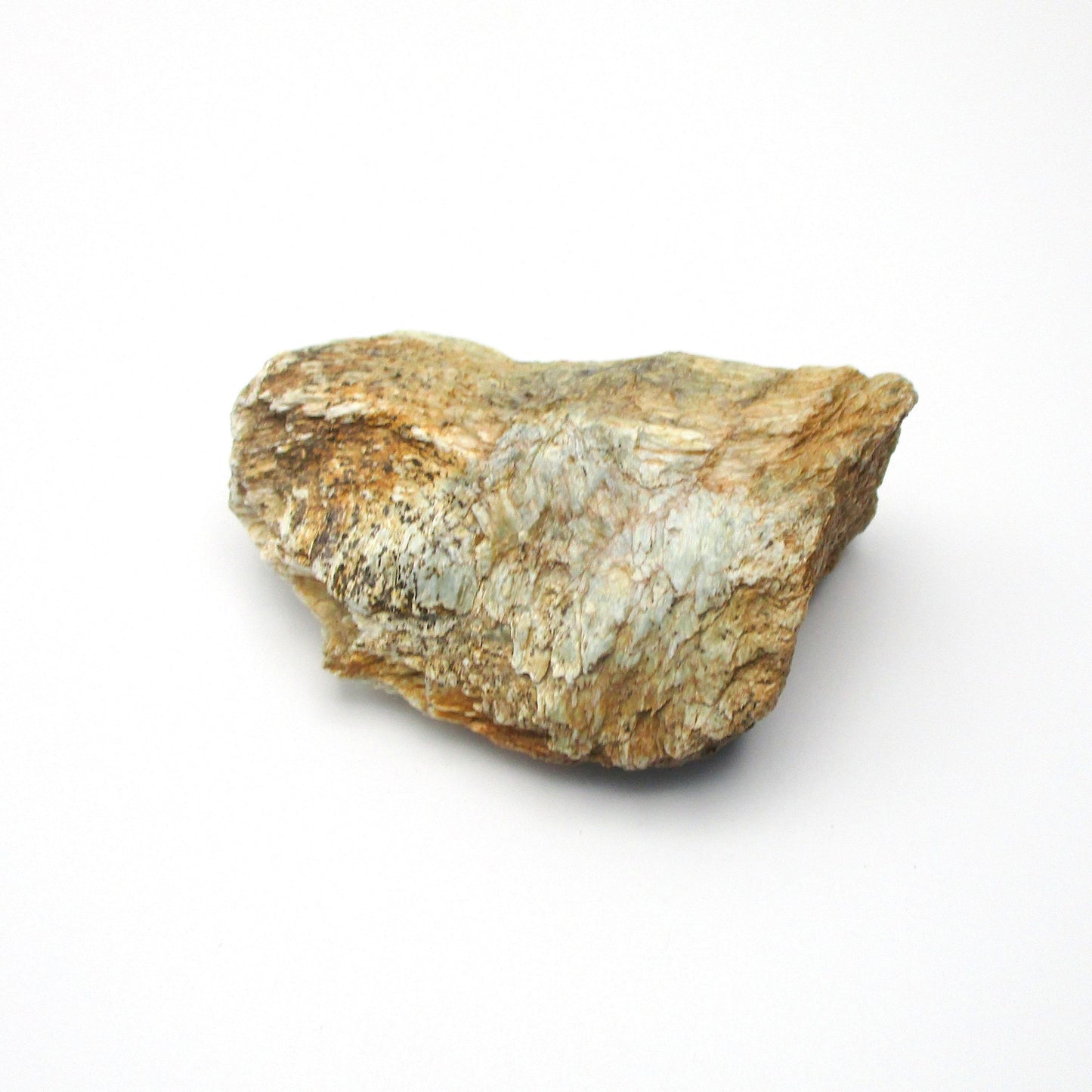 Actinolite