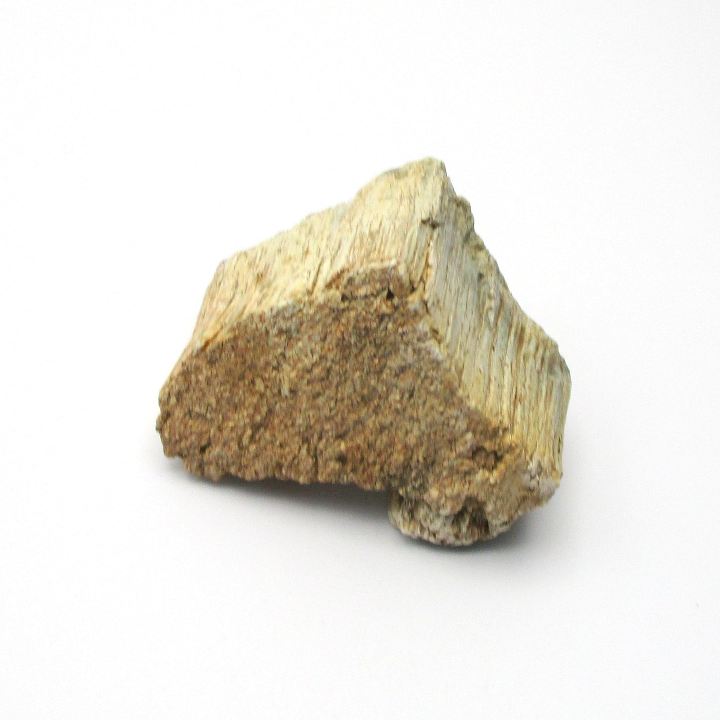 Actinolite