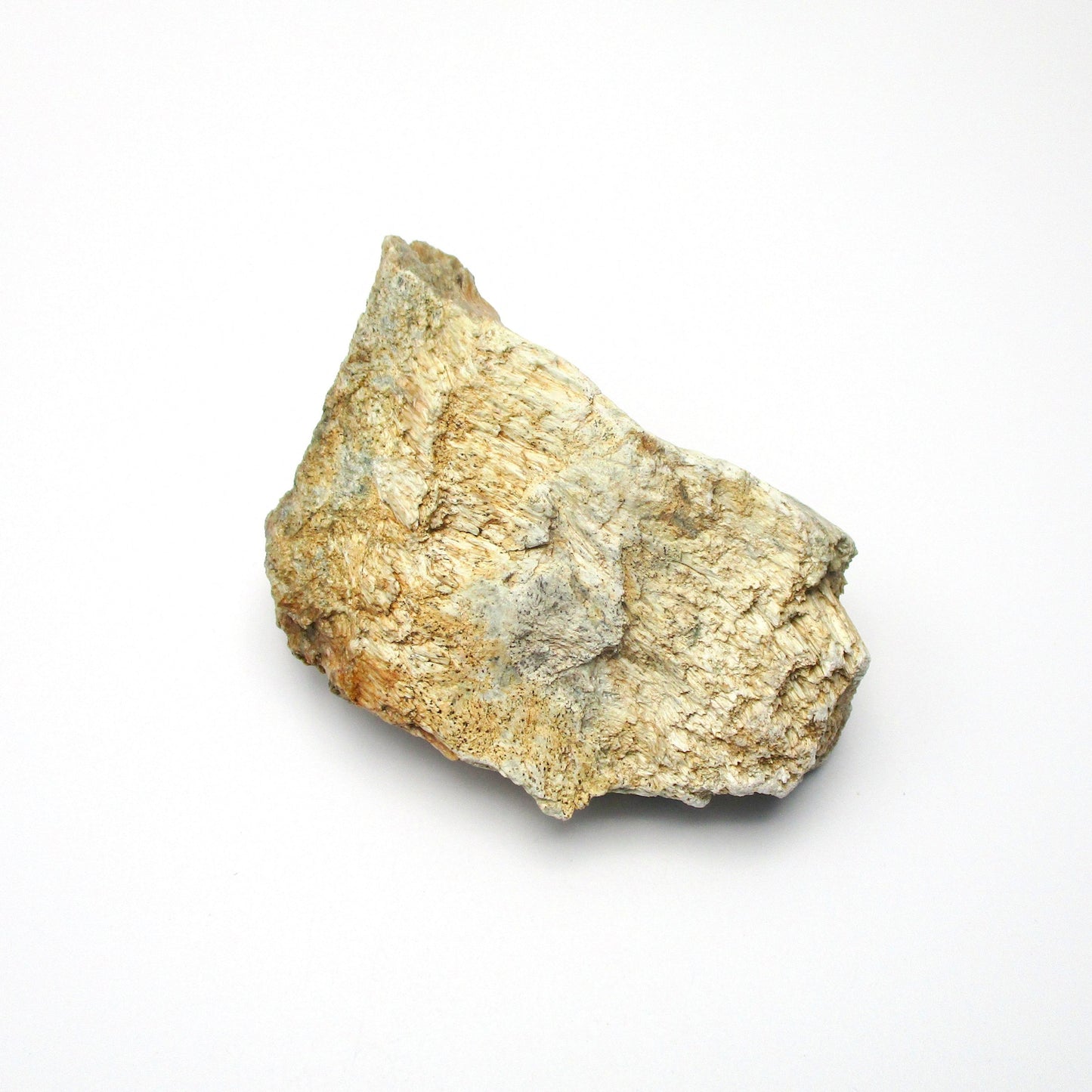 Actinolite