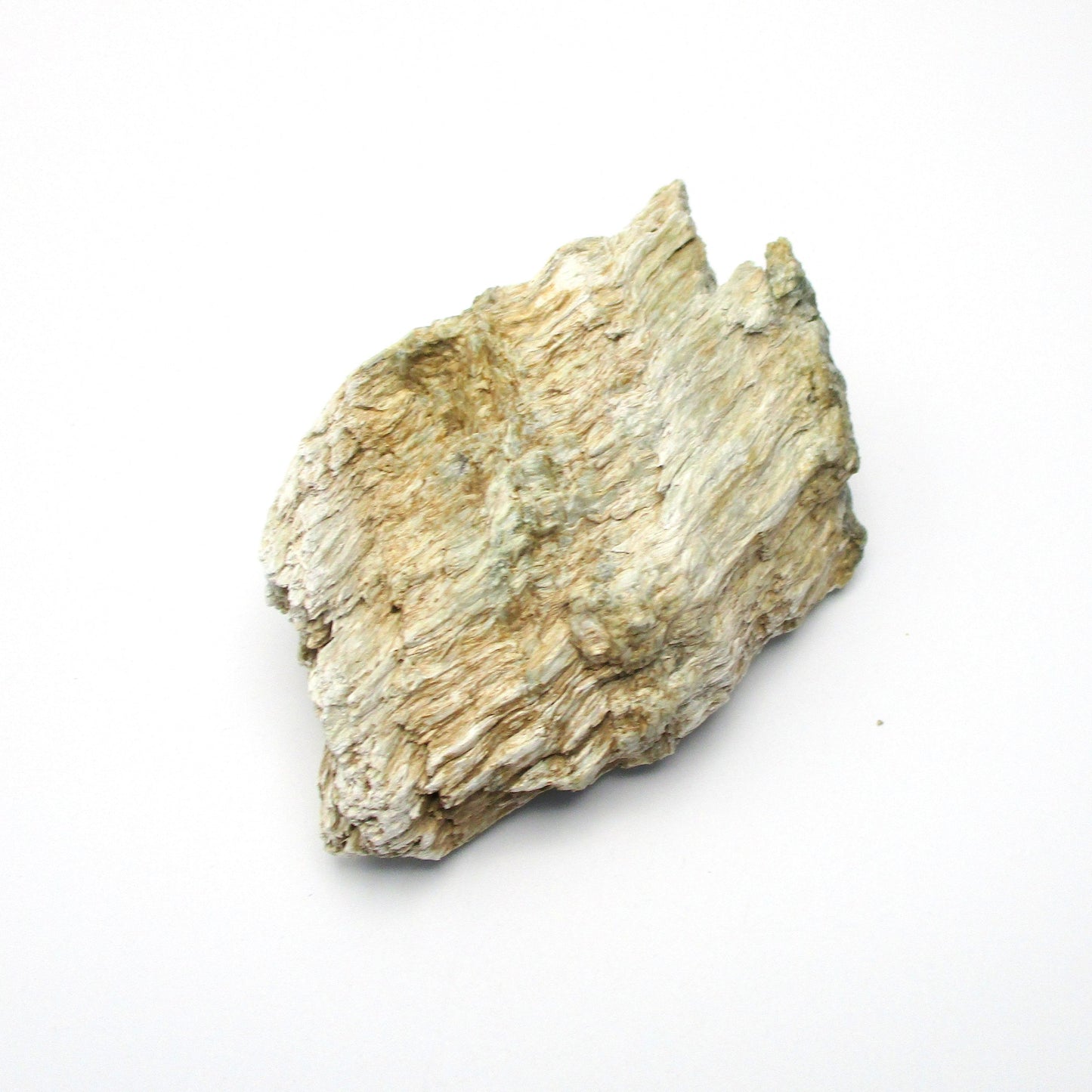 Actinolite