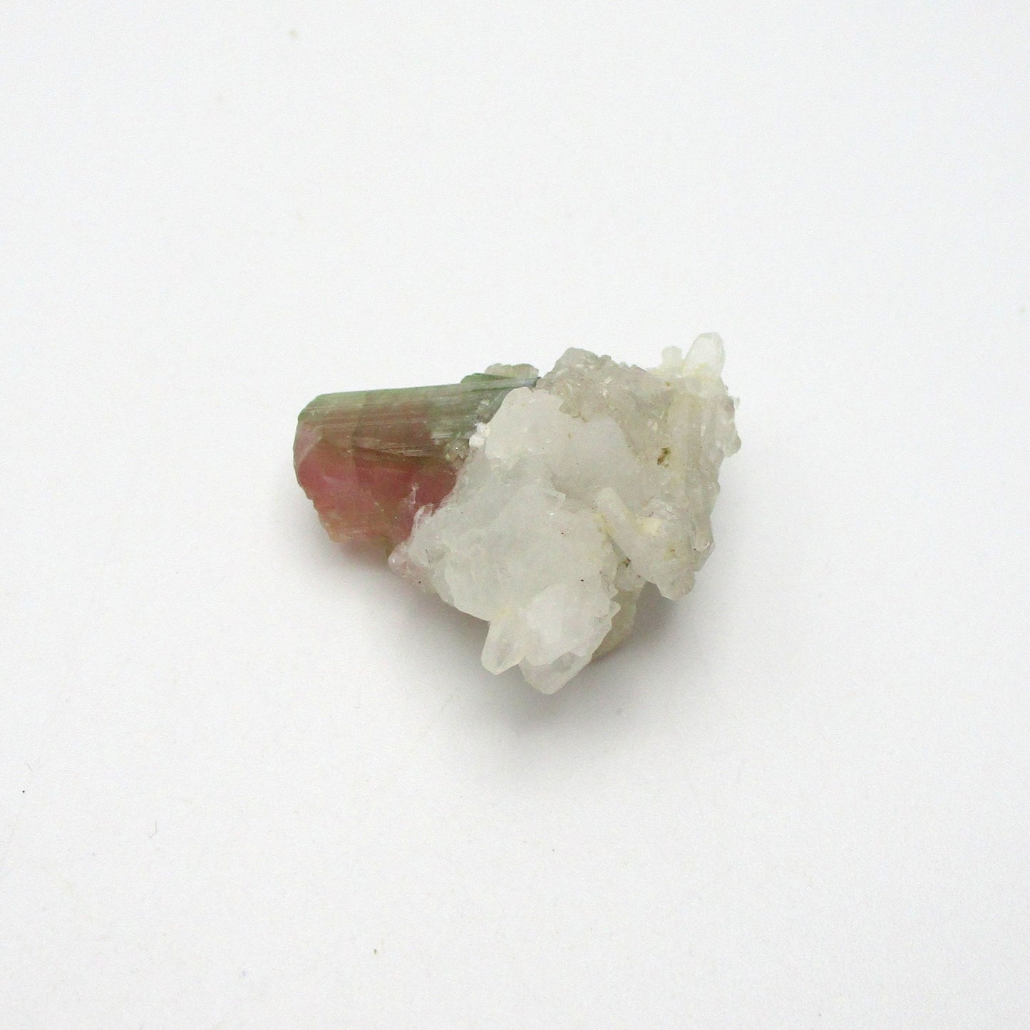 Bi-Color Tourmaline