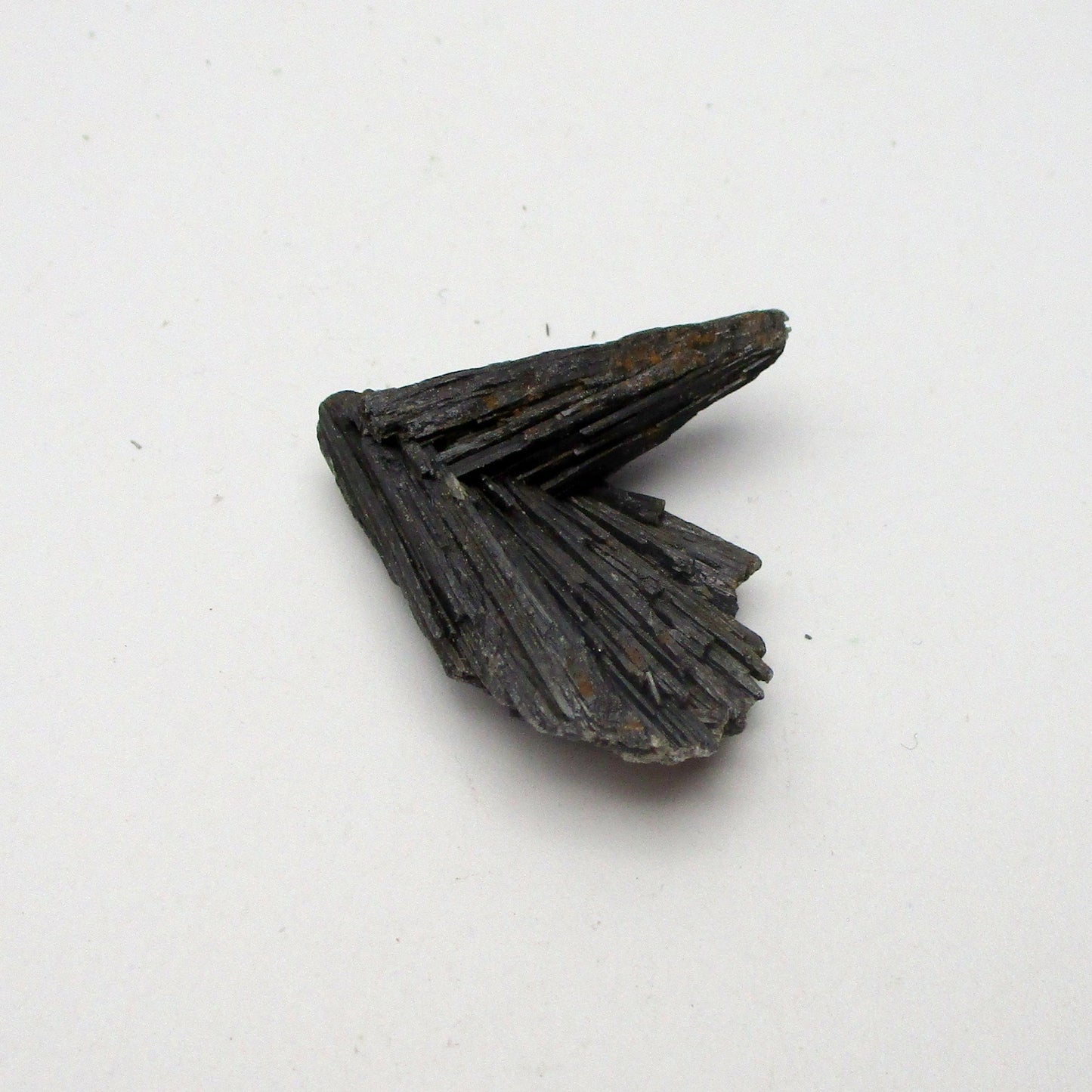 Black Kyanite Fan