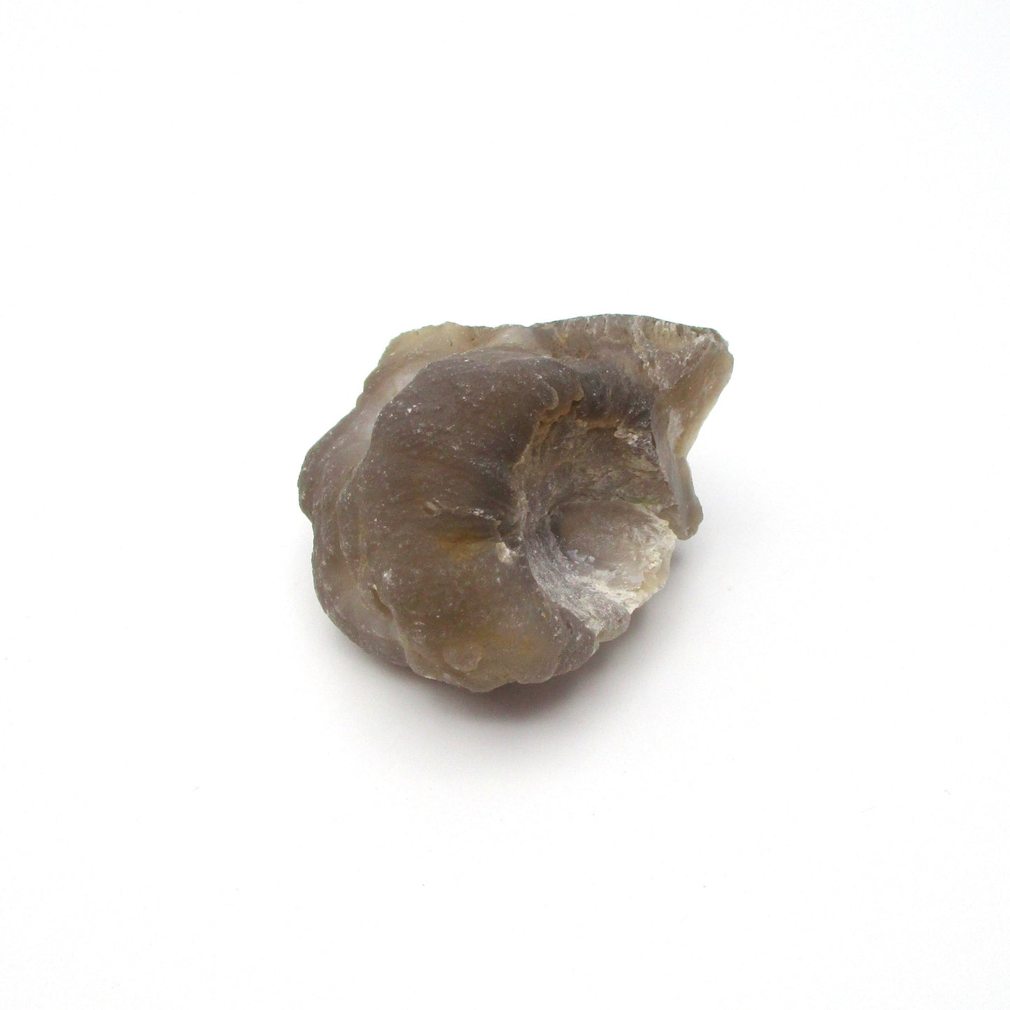 Botryoidal Chalcedony