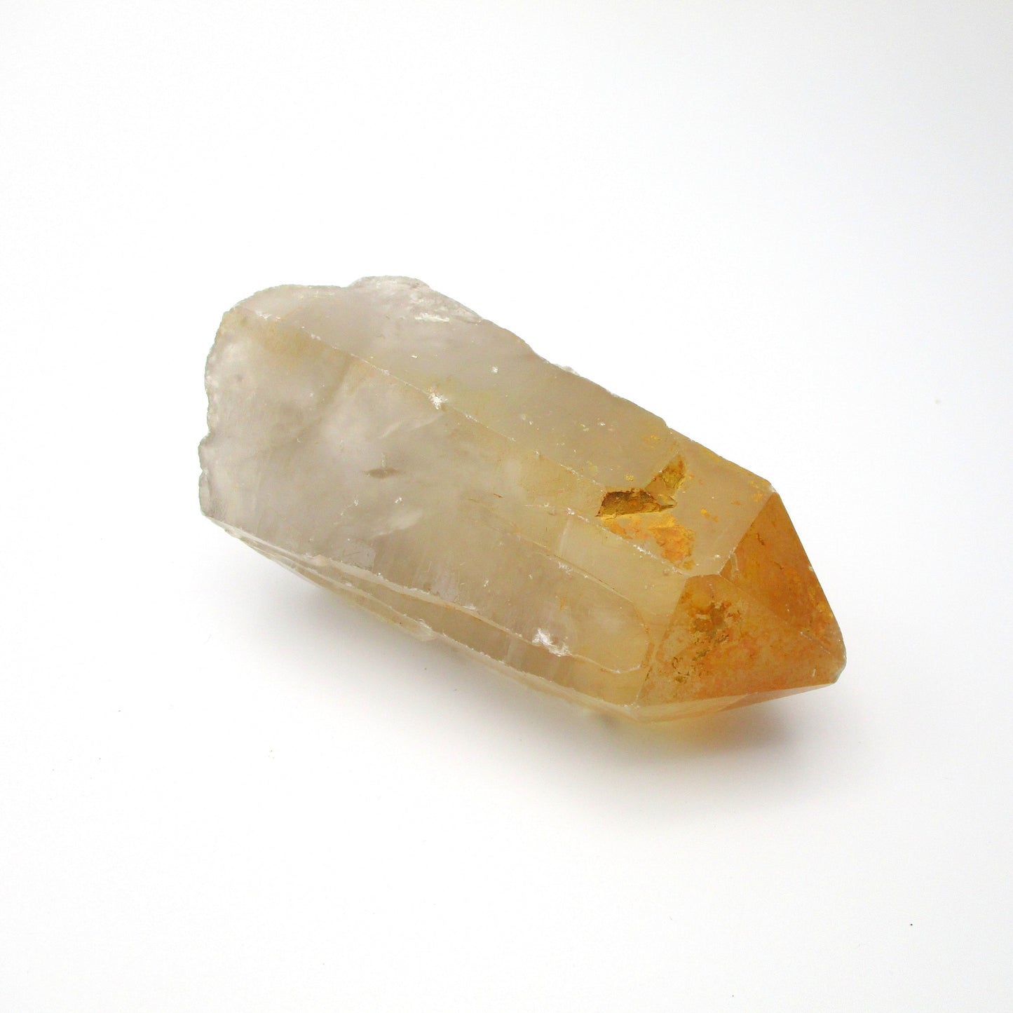 Brazilian Pink Lemurian
