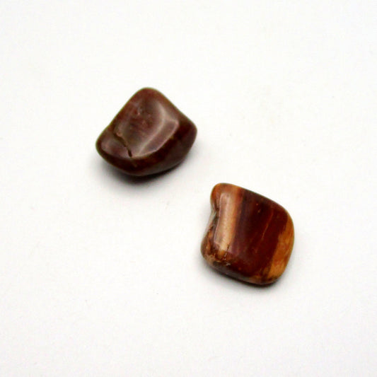 Petrified Wood