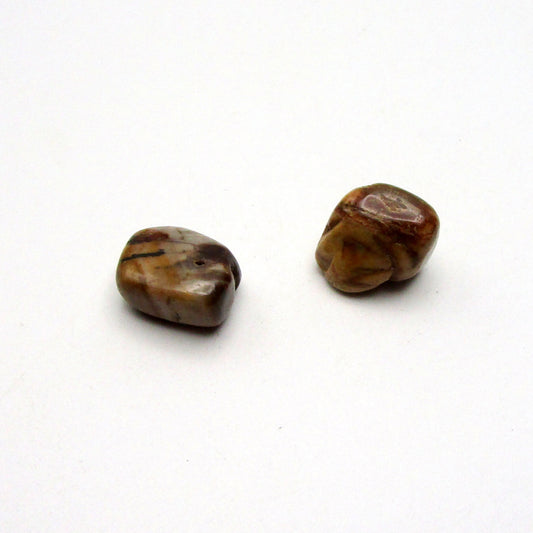 Petrified Wood