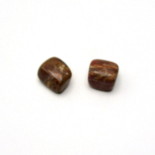 Petrified Wood