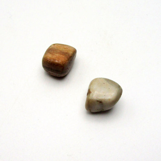 Petrified Wood