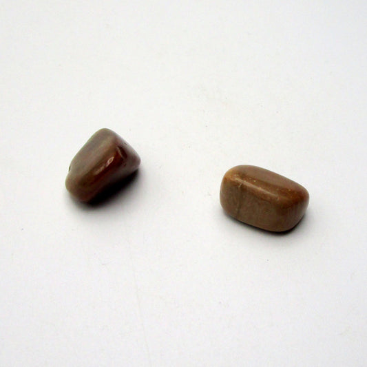 Petrified Wood