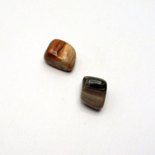 Petrified Wood